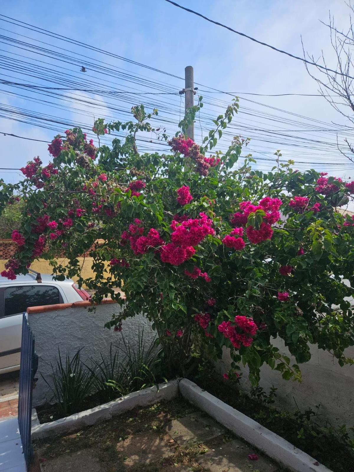Villa Casa De Temporada Em Figueira - Arraial Do Cabo - Casa 5 Esterno foto